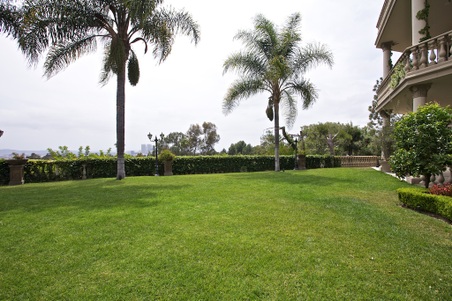 Enlarge photo 155
