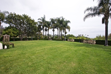 Enlarge photo 157