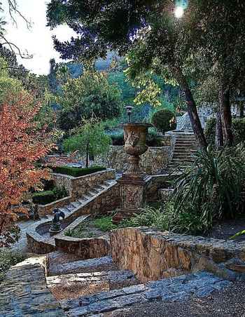 Enlarge photo 46