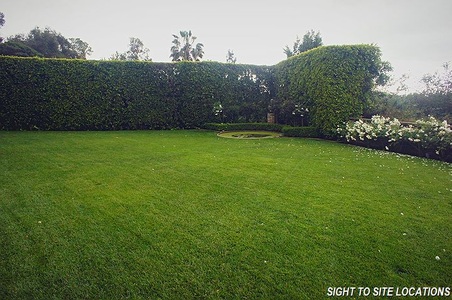Enlarge photo 60