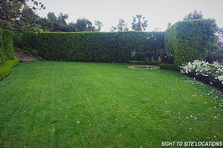 Enlarge photo 61