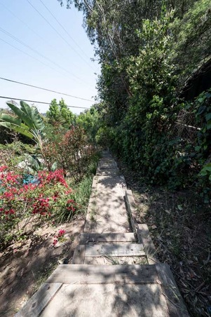 Enlarge photo 102