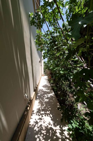 Enlarge photo 150