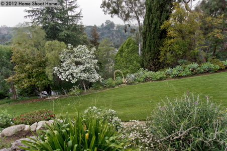 Enlarge photo 41