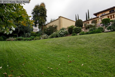 Enlarge photo 51