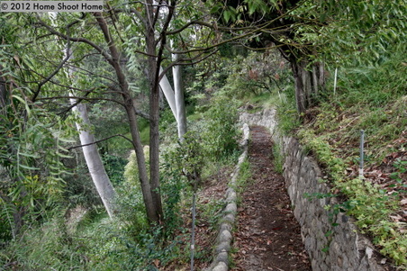 Enlarge photo 52