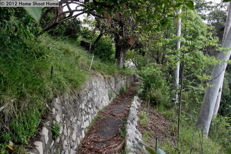 Enlarge photo 53