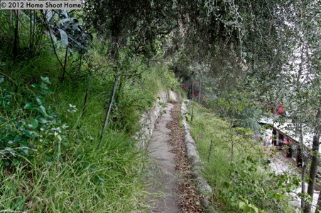 Enlarge photo 54