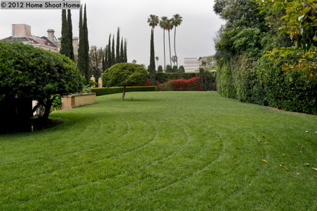 Enlarge photo 69