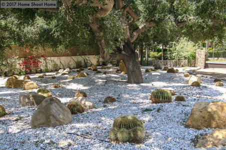 Enlarge photo 8