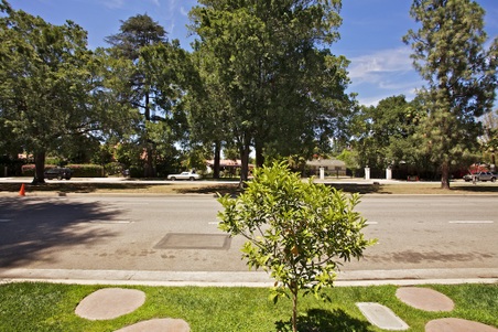 Enlarge photo 97