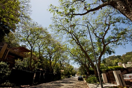 P_h6303_Mansion