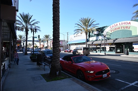 Enlarge photo 31