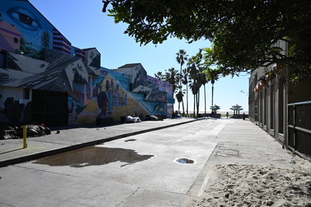 Venice_Beach_Streets