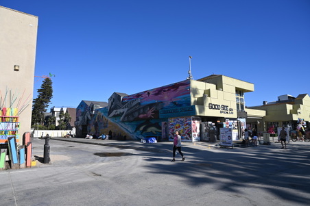 Enlarge photo 21