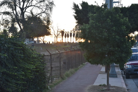Enlarge photo 8