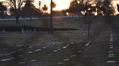 Enlarge photo 18