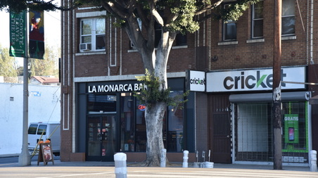 Enlarge photo 14
