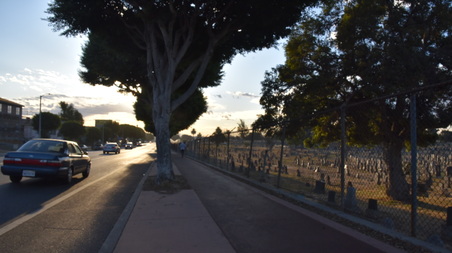 Enlarge photo 14