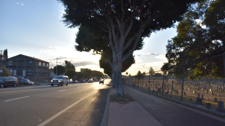 Enlarge photo 16