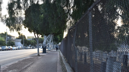 Enlarge photo 24
