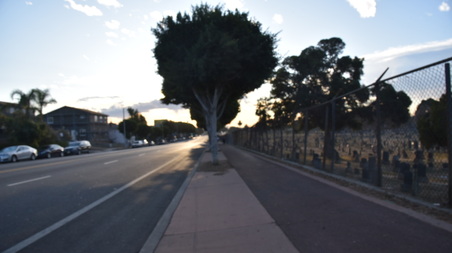 Enlarge photo 25