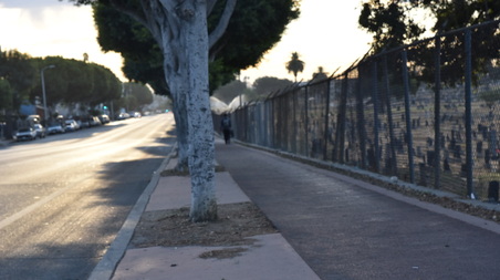 Enlarge photo 26