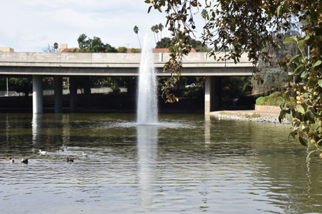 Enlarge photo 23