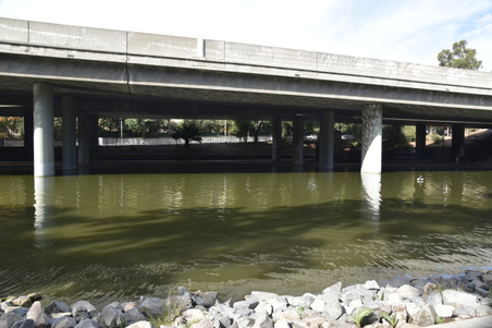 Enlarge photo 30
