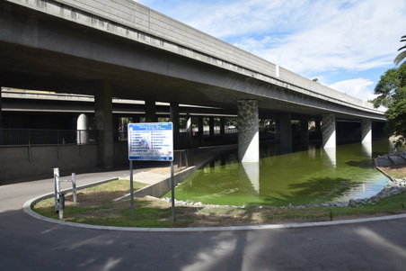 Enlarge photo 36