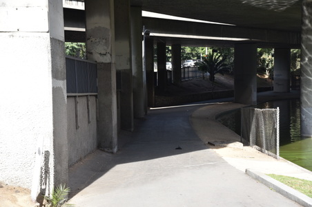 Enlarge photo 37