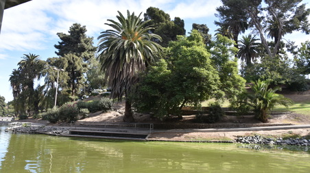Enlarge photo 47
