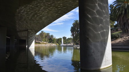 Enlarge photo 49