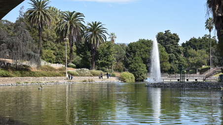 Enlarge photo 50
