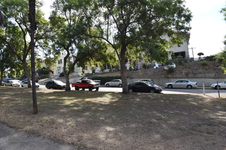 Enlarge photo 51