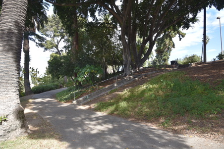 Enlarge photo 52