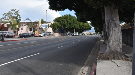 Enlarge photo 8