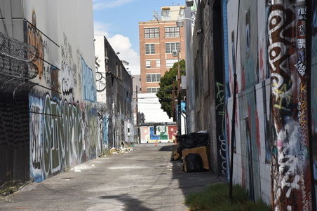 Enlarge photo 16