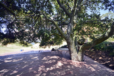 Enlarge photo 49