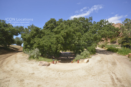 Enlarge photo 51