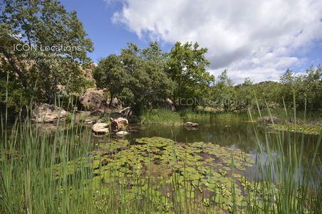 Enlarge photo 53