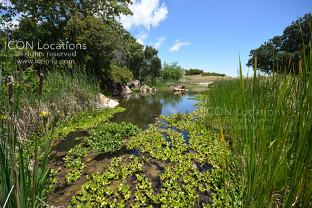 Enlarge photo 55