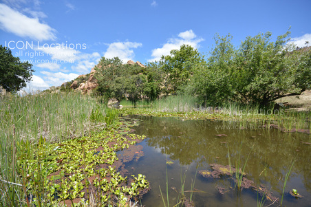Enlarge photo 56