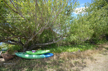 Enlarge photo 59