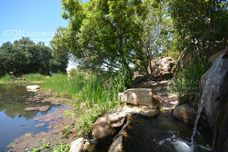 Enlarge photo 60