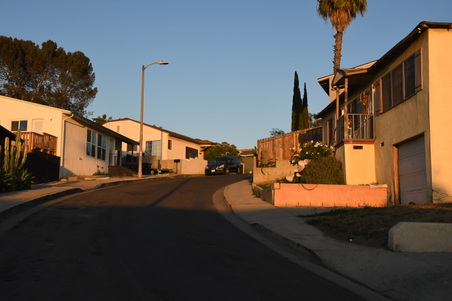 Enlarge photo 41