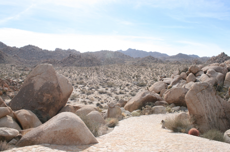 Enlarge photo 15
