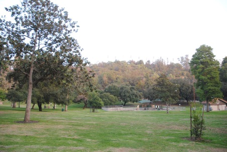 Enlarge photo 13