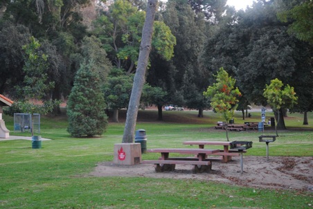 Enlarge photo 16
