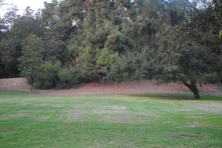Enlarge photo 18